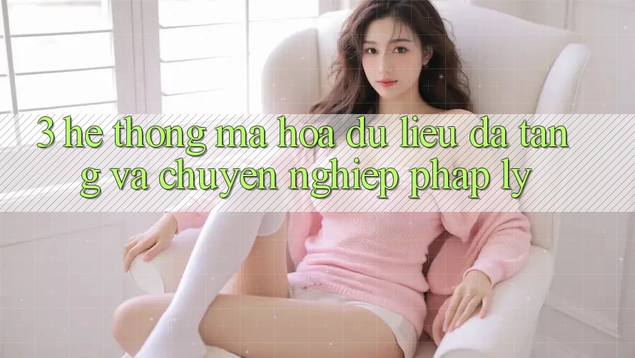 3. Hệ Thống Mã hóa dữ liệu Đa Tầng Và Chuyên nghiệp Pháp Lý 3. Hệ Thống Mã hóa dữ liệu Đa Tầng Và Chuyên nghiệp Pháp Lý