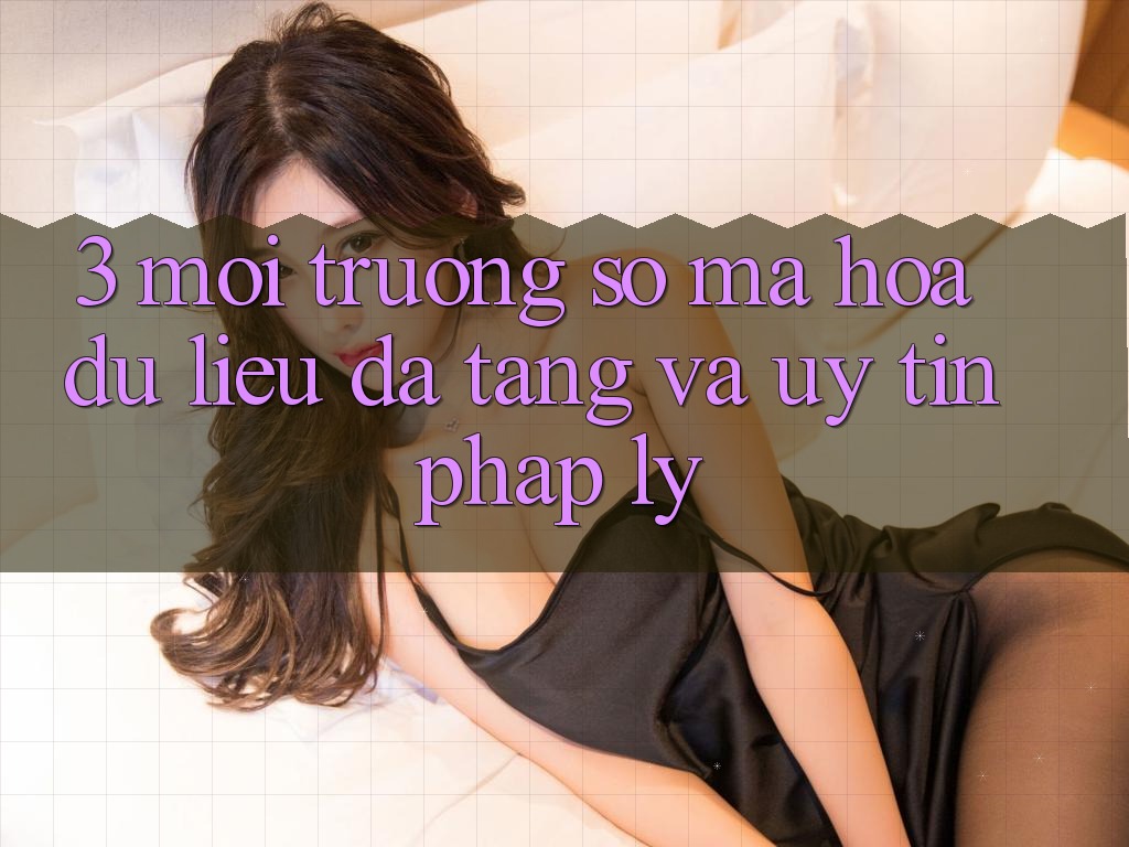 3. Môi trường số Mã hóa dữ liệu Đa Tầng Và Uy tín Pháp Lý 3. Môi trường số Mã hóa dữ liệu Đa Tầng Và Uy tín Pháp Lý