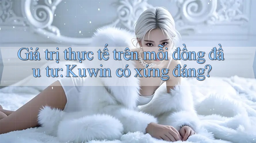 Giá trị thực tế trên mỗi đồng đầu tư: Kuwin có xứng đáng?