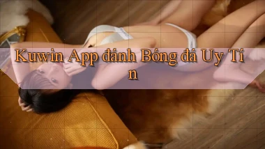 kuwin app đánh bóng đá uy tín