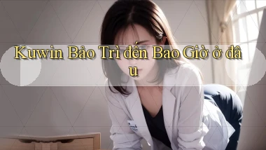 kuwin bảo trì đến bao giờ ở đâu