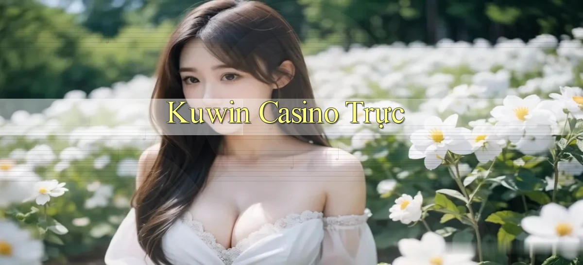 kuwin casino trực