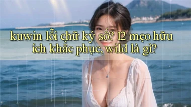 kuwin lỗi chữ ký số 12 mẹo hữu ích khắc phục, wild là gì