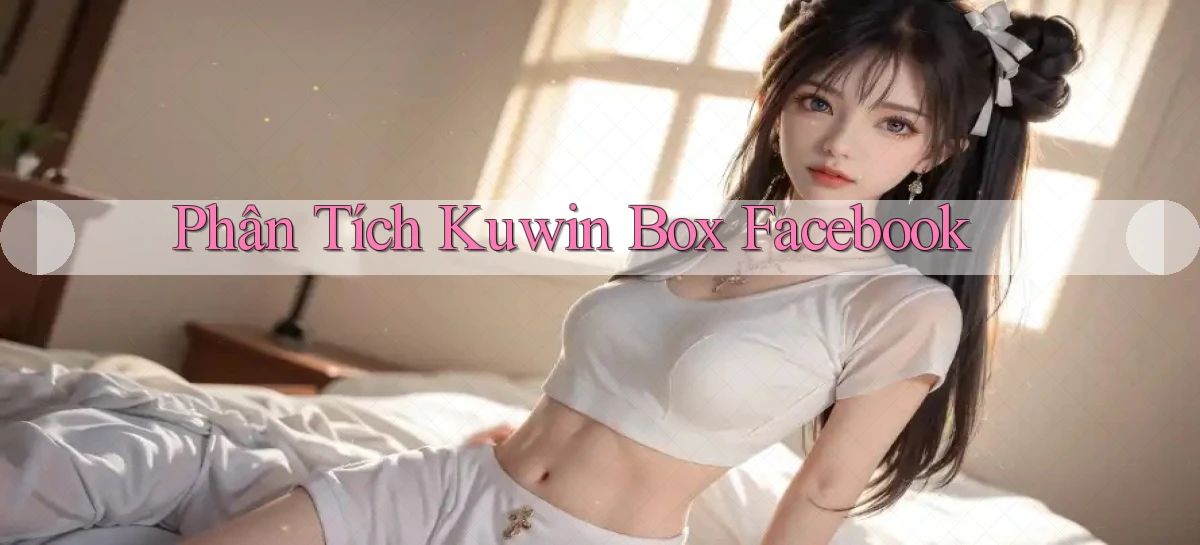 phân tích kuwin box facebook