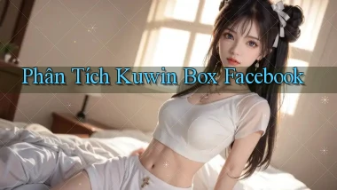 phân tích kuwin box facebook