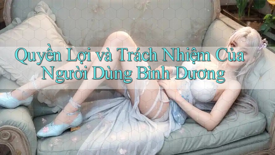 Quyền Lợi và Trách Nhiệm Của Người Dùng Bình Dương